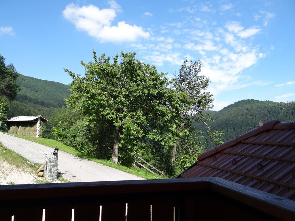 Apartments Trebušak Laze v Tuhinju Bagian luar foto